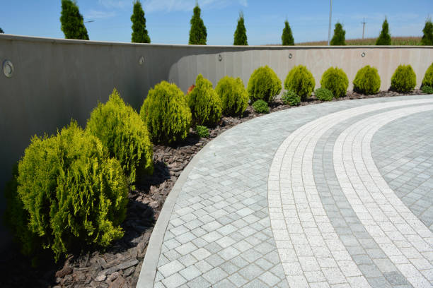 Best Local Driveway Pavers  in Shafter, CA